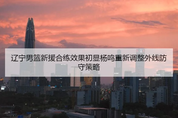 辽宁男篮新援合练效果初显杨鸣重新调整外线防守策略