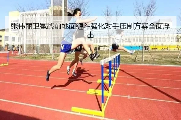 张伟丽卫冕战前地面缠斗强化对手压制方案全面浮出